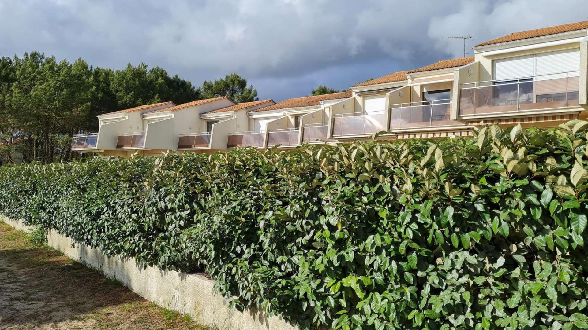 Saint Georges De Didonne - Vue Mer Pour Ce Studio Cosy En Rez-De-Chaussee Екстер'єр фото